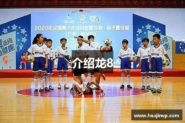 介绍龙8
